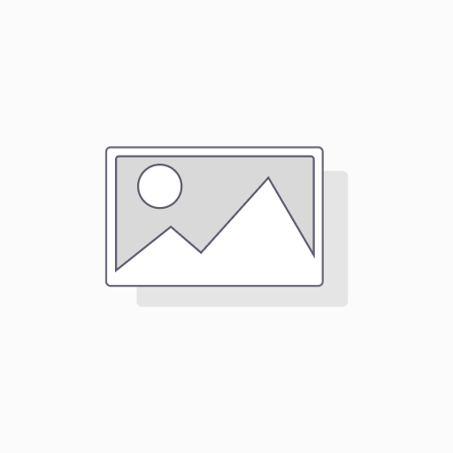 華生日式唐揚鴨肉塊 500g Japanese Style Fried Duck Meat Nugget 500g x 20