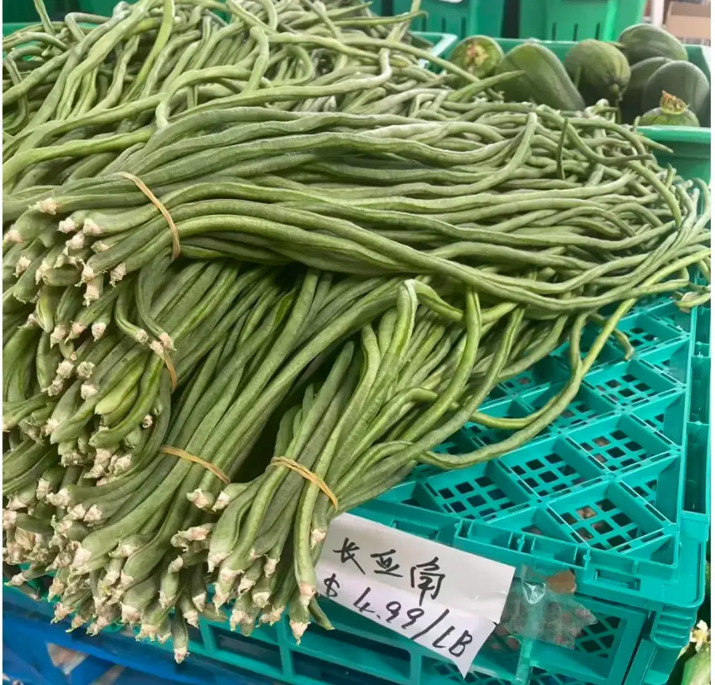 蔬菜 - 豇豆 Yardlong bean