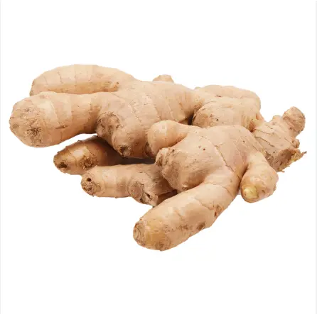 蔬菜 - 姜 Ginger