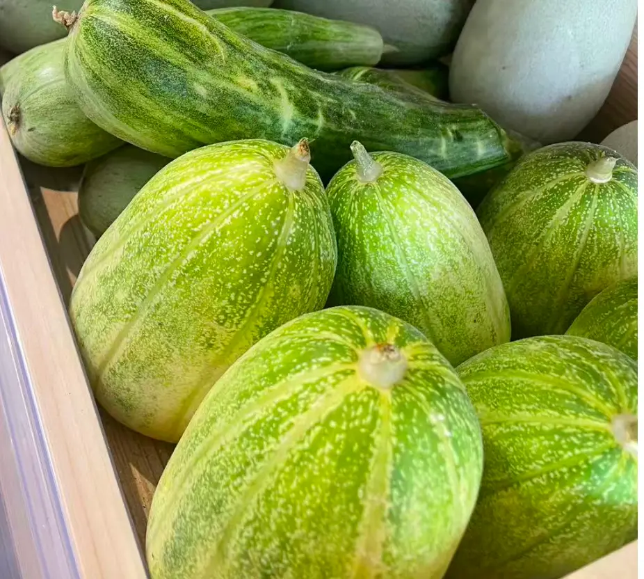 蔬菜 - 甜瓜 羊角蜜 Melon