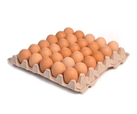 棕色雞蛋大號 Brown Eggs Large 30s (會員不積分）