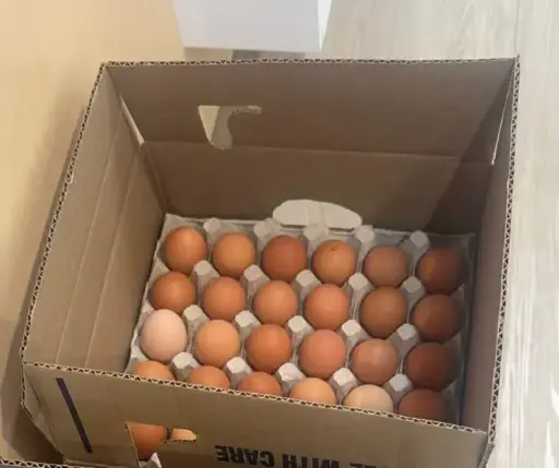 [5400041] 雞蛋 Eggs 30pc