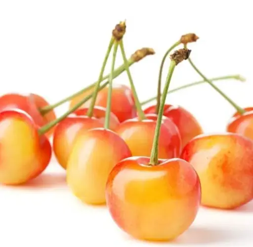 [5400040] 水果 - 黃櫻桃 Cherry