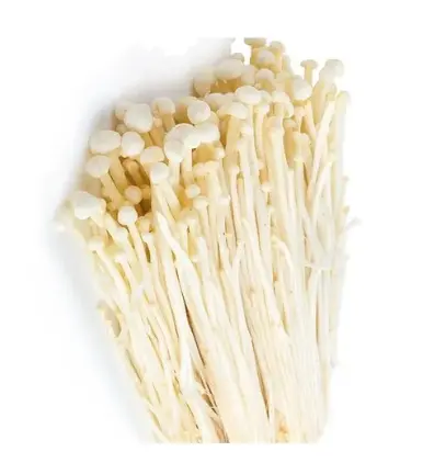 [5400046] 蔬菜 - 金針菇 Enoki Mushroom