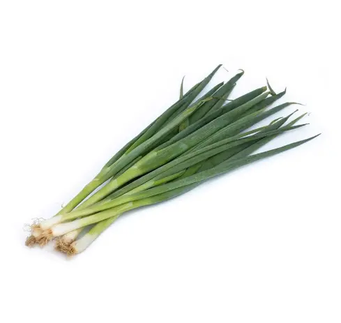 [5400048] 蔬菜 - 小蔥 Green Onion